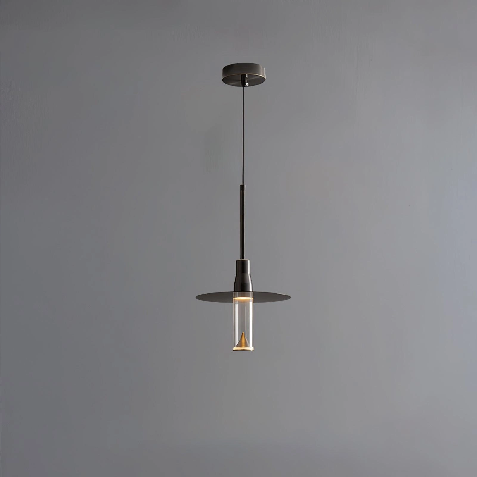 Acrylic Hat Plate Pendant Light
