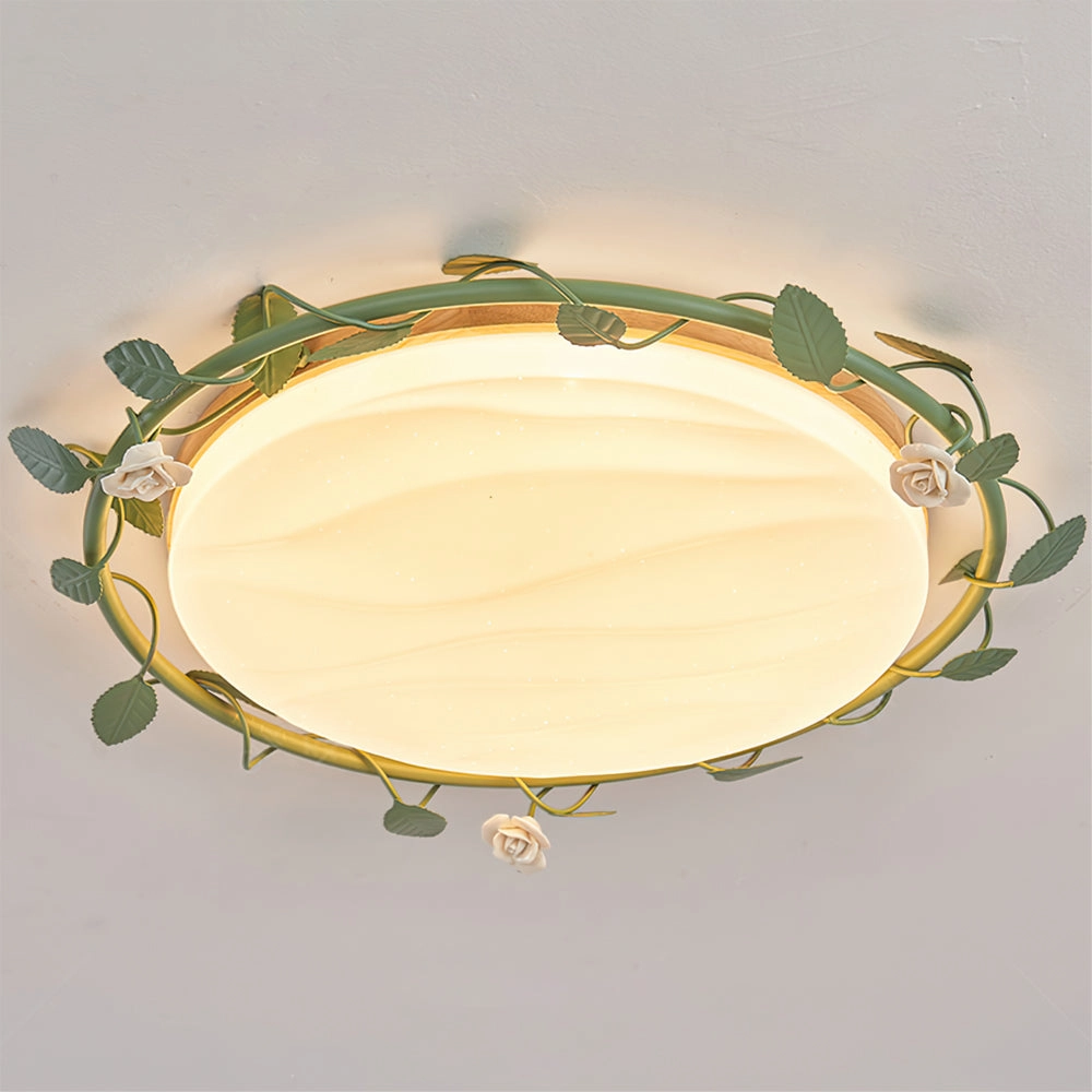 Aeyee Ceiling Lamp