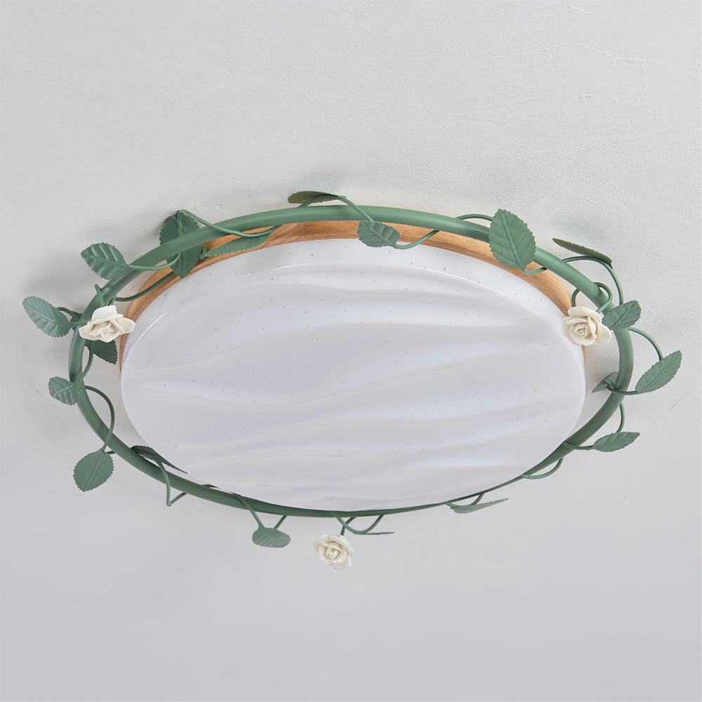 Aeyee Ceiling Lamp