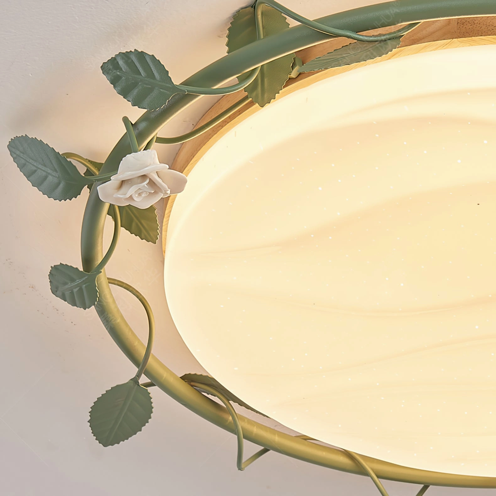 Aeyee Ceiling Lamp