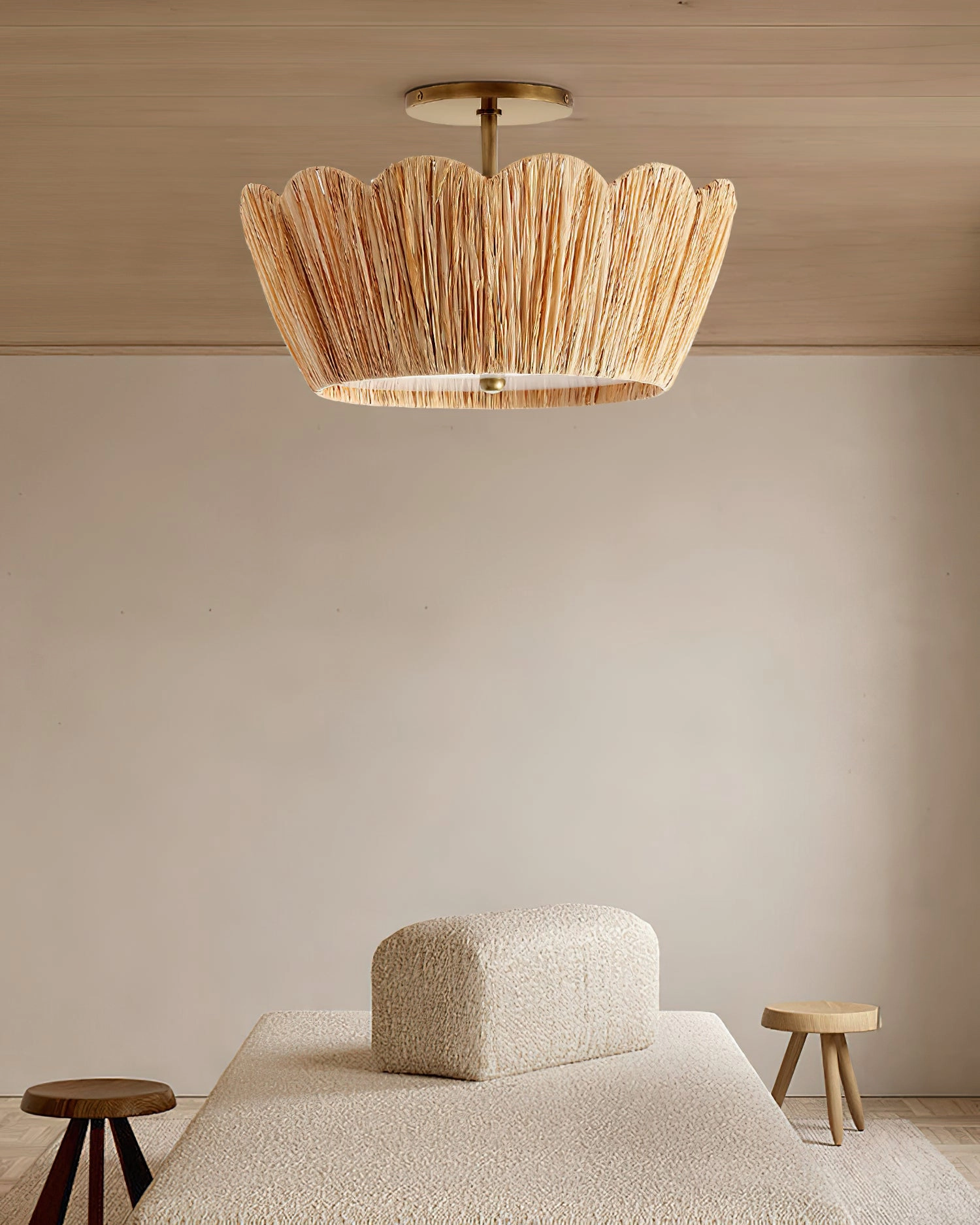Alitzel Ceiling Light