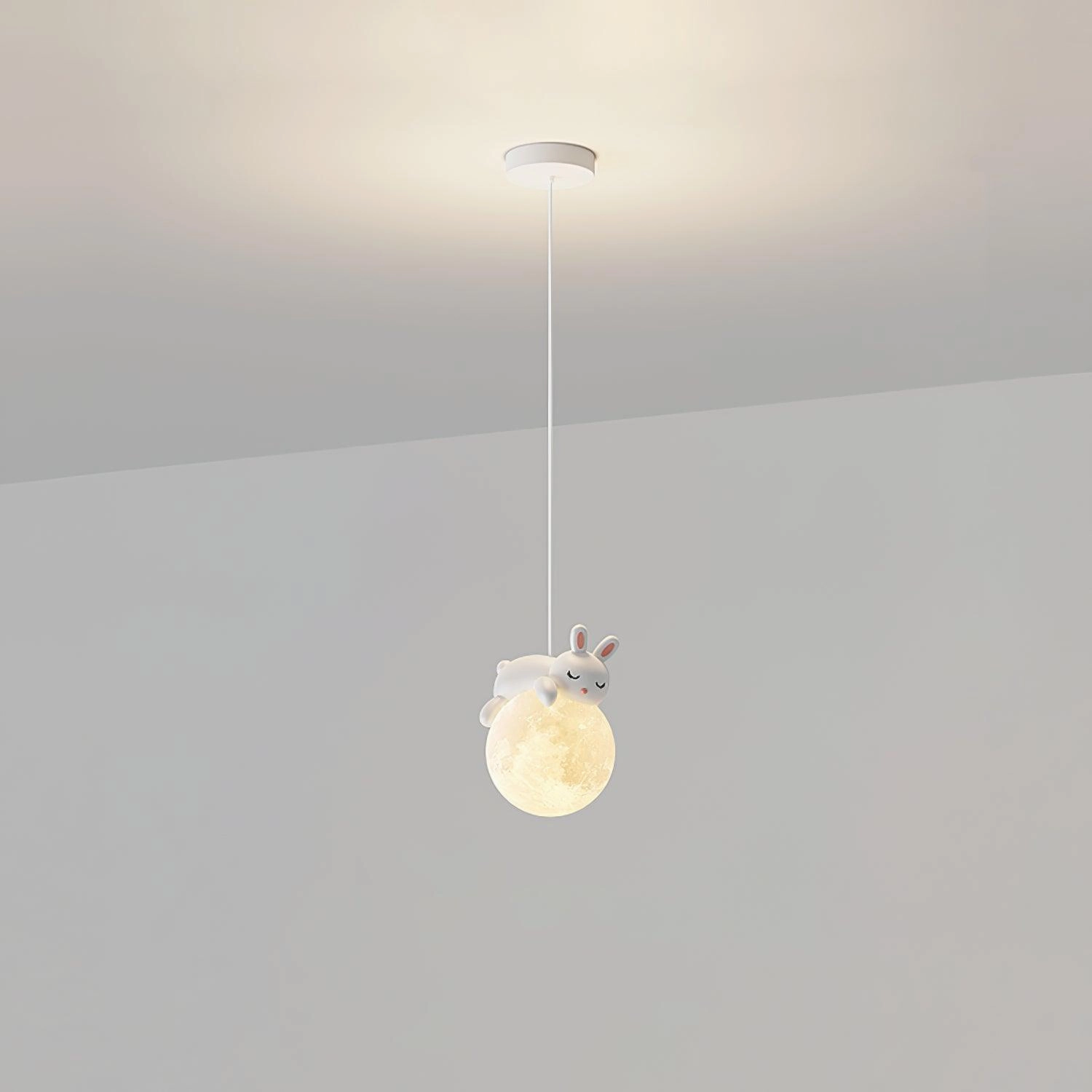 Animal Sleeping Pendant Lamp