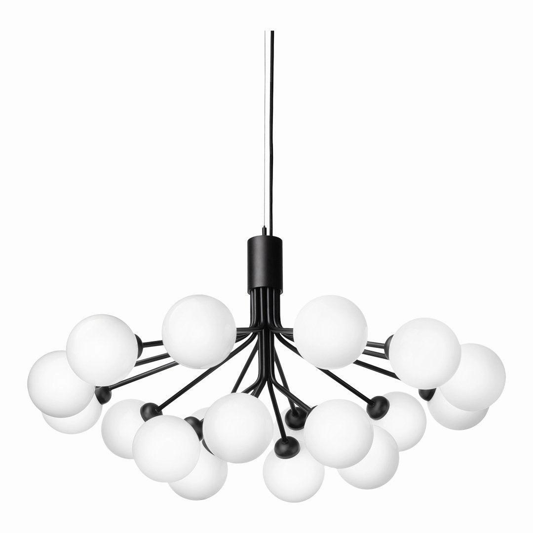 Apiales 18 Chandelier