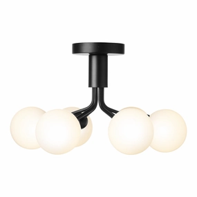 Apiales 6 Ceiling Fixture modern wall mounted lamp