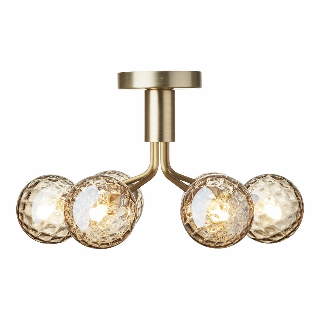 Apiales 6 Ceiling Fixture