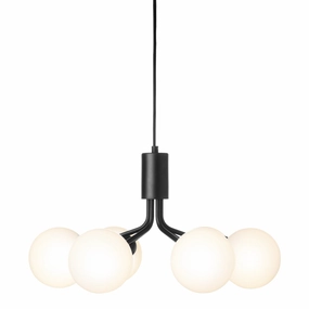 Apiales 6 Chandelier modern wall mounted lamp