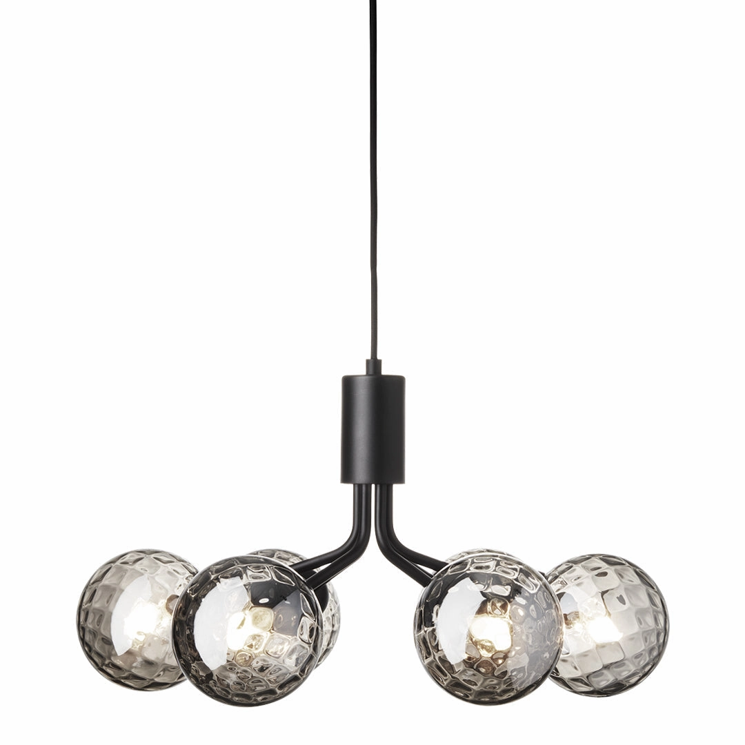 Apiales 6 Chandelier