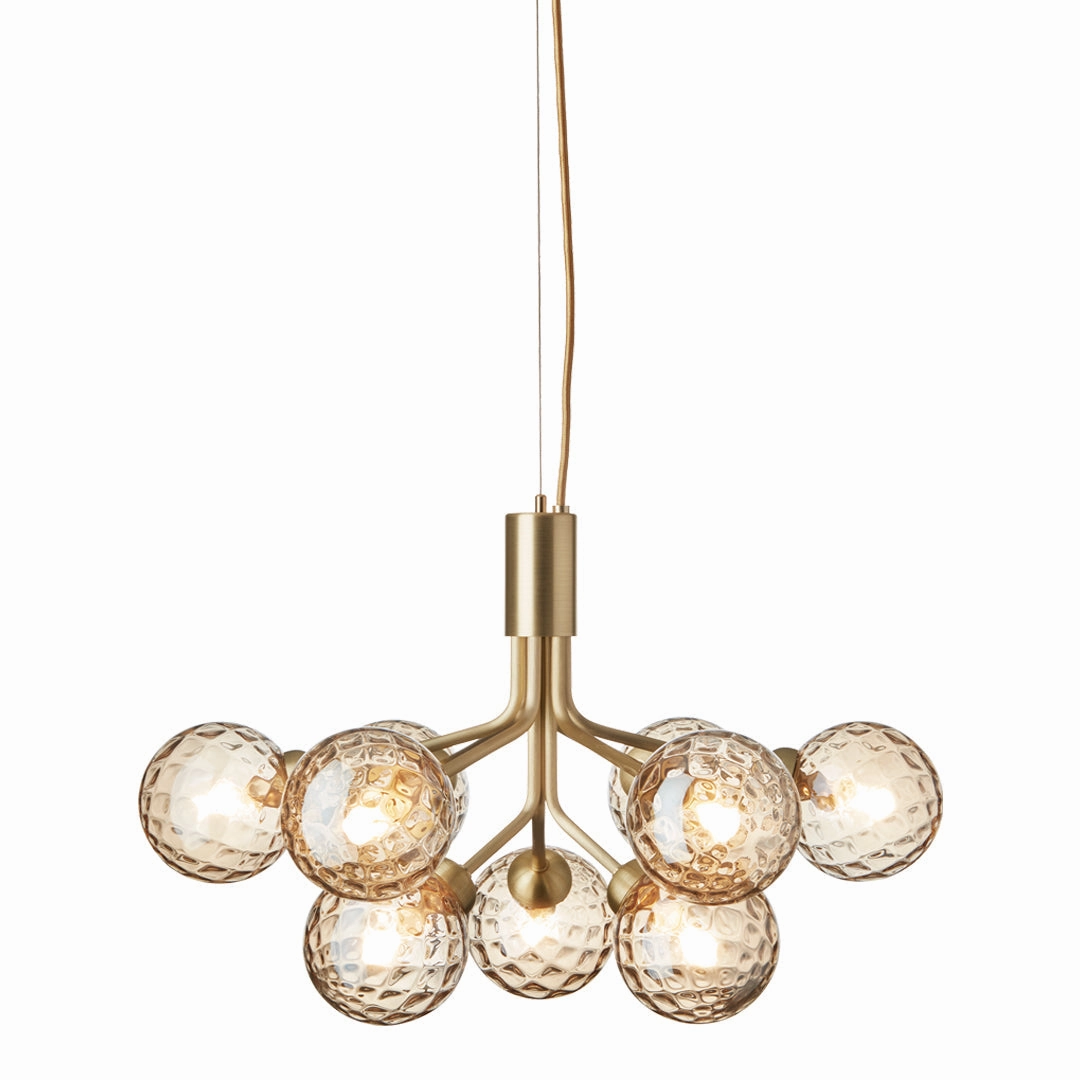 Apiales 9 Chandelier