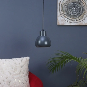 Apple Grey Metal Hanging Light by SS Lightings decorative ceiling fixture