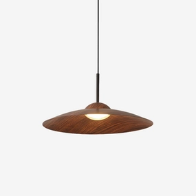 Arcadian Pendant Light contemporary ceiling lighting