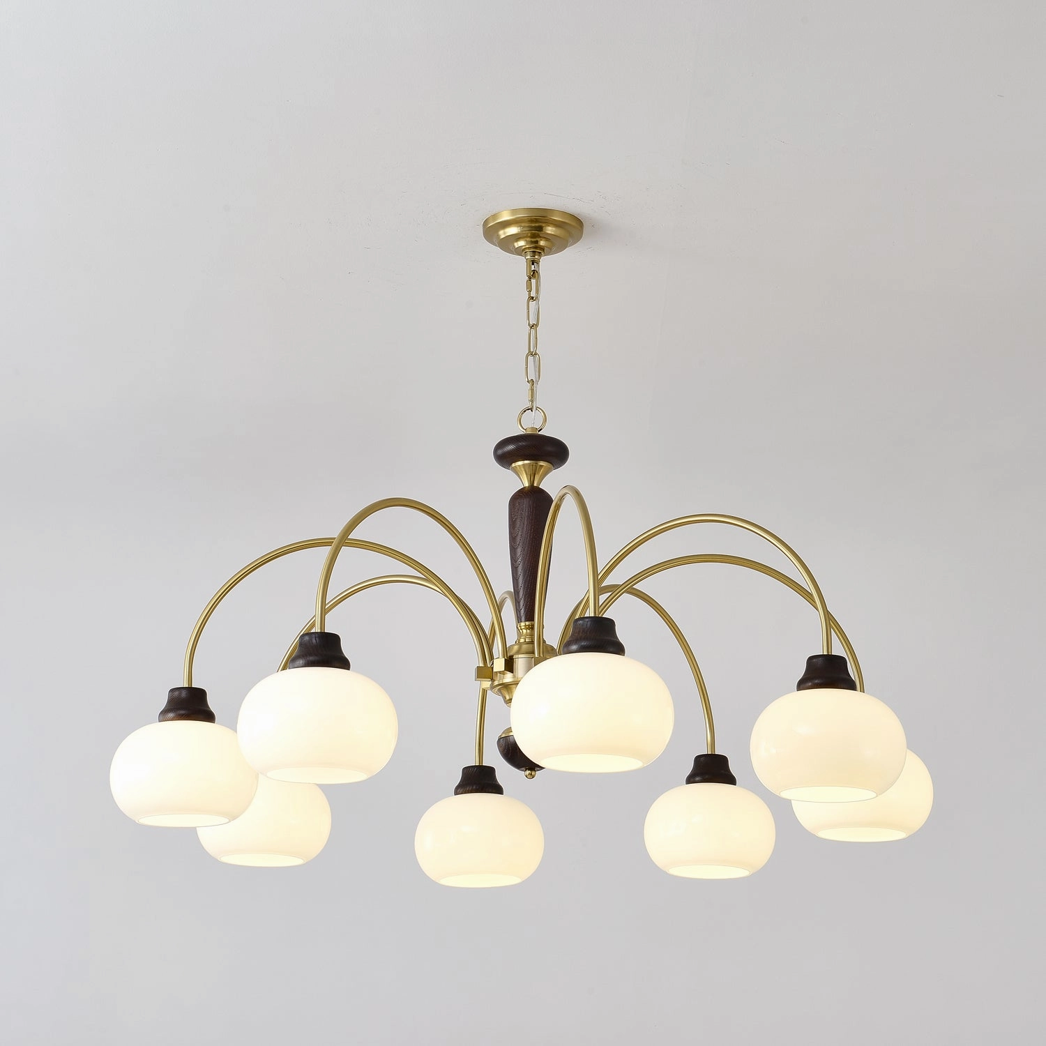 Arched Globe Chandelier