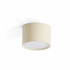 Asher Ceiling Light recessed ceiling spot lamp