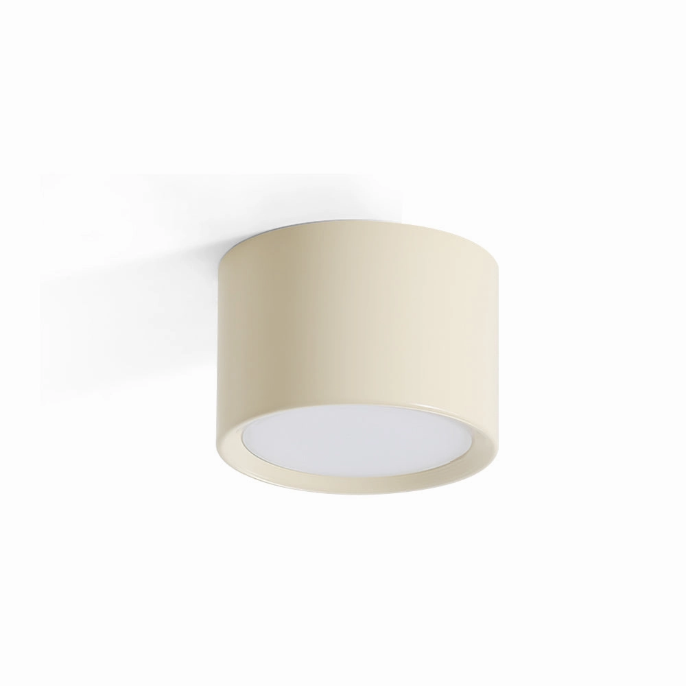 Asher Ceiling Light recessed ceiling spot lamp