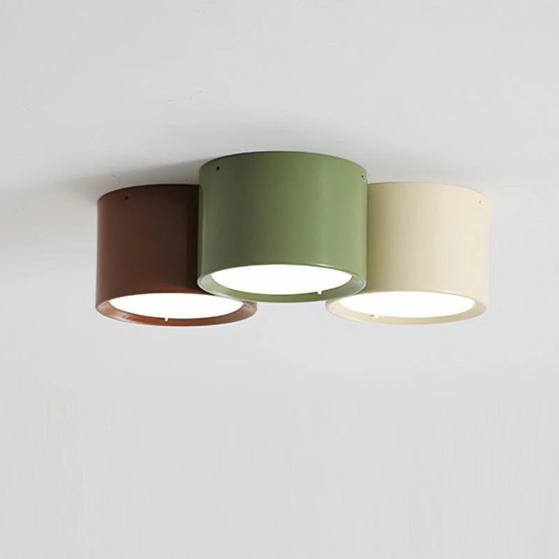 Asher Combination Ceiling Light