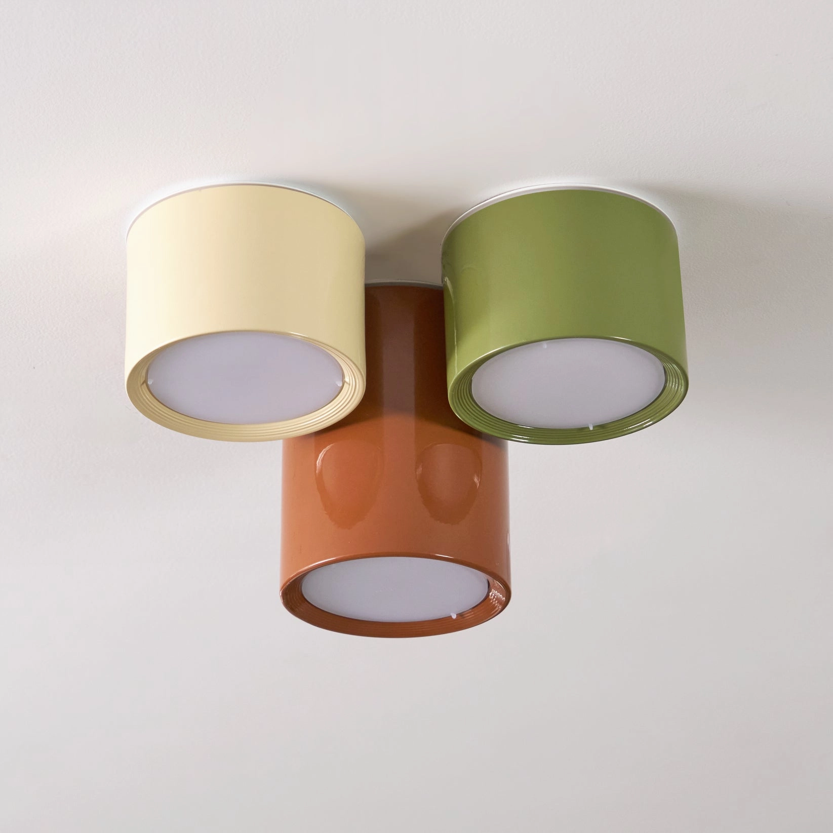 Asher Combination Ceiling Light