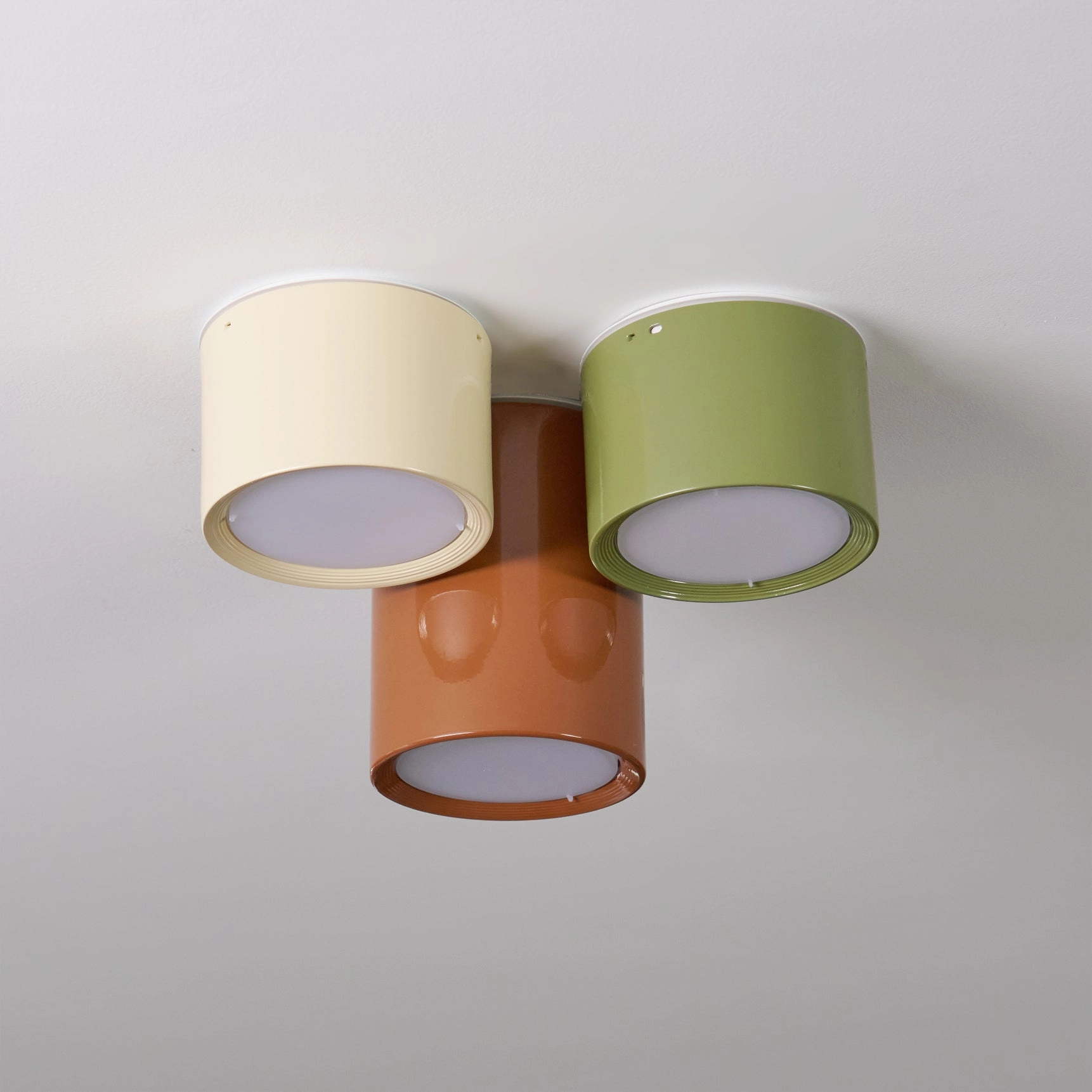 Asher Combination Ceiling Light