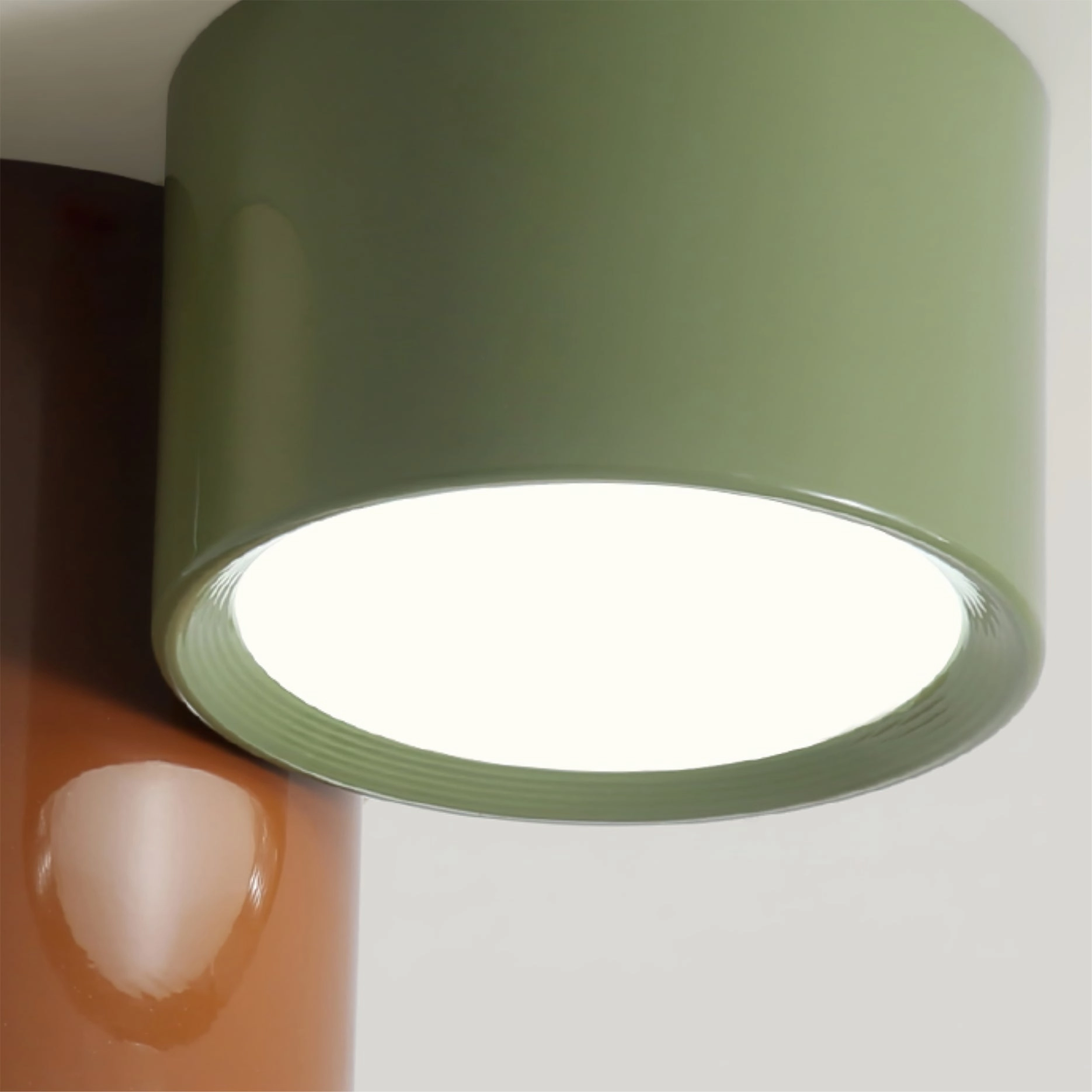 Asher Combination Ceiling Light