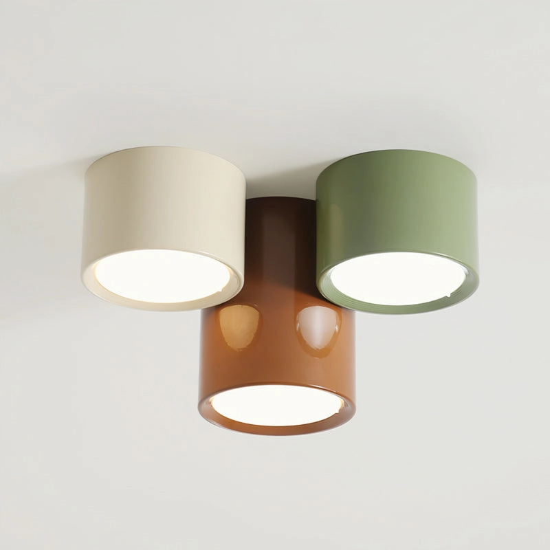 Asher Combination Ceiling Light
