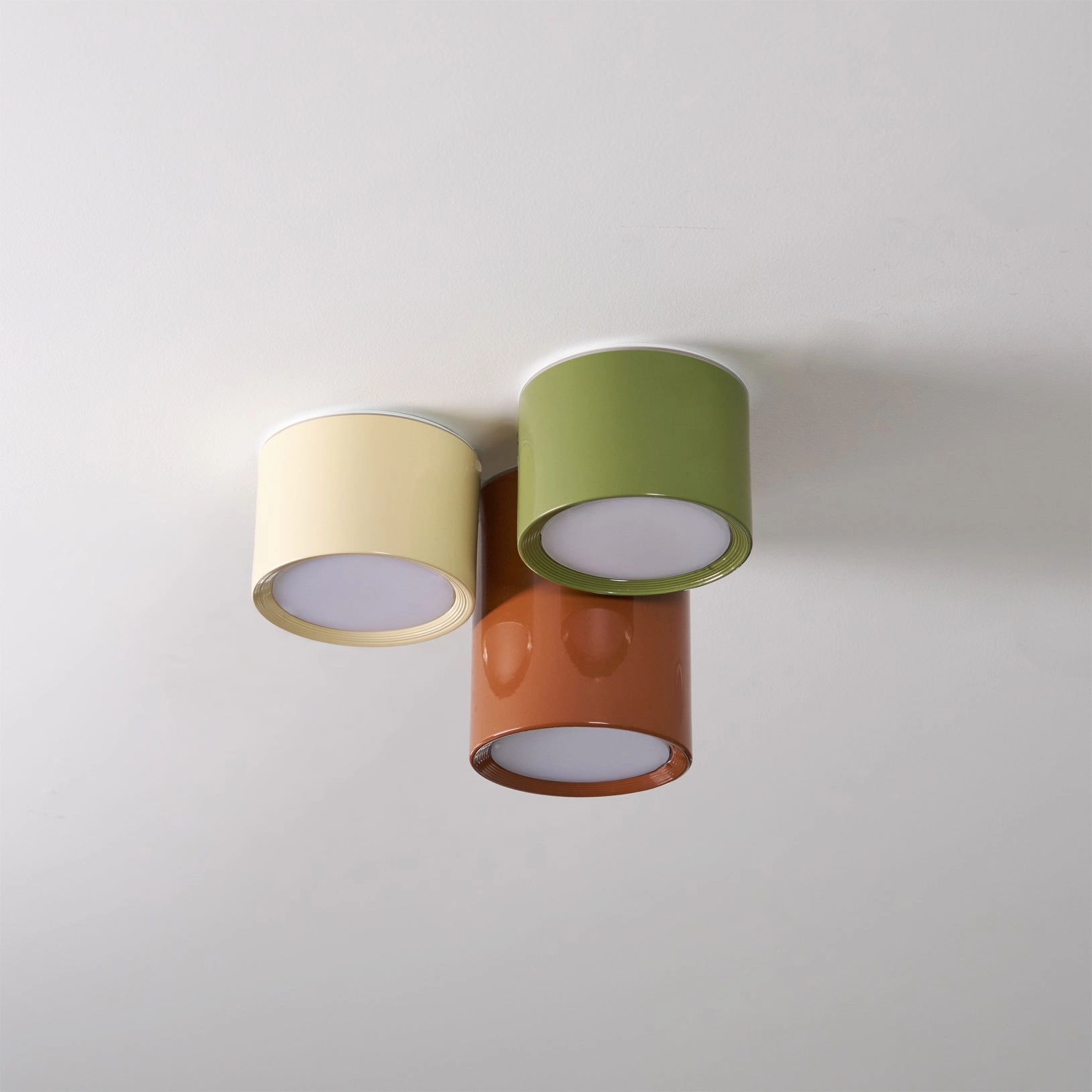 Asher Combination Ceiling Light