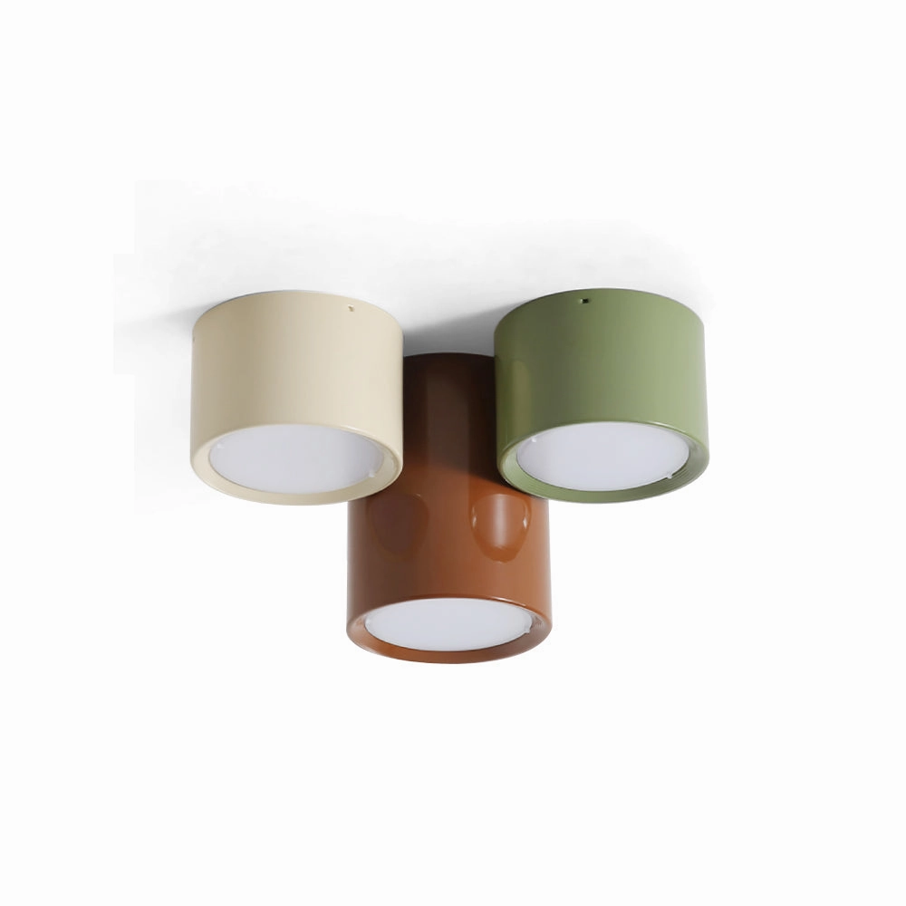 Asher Combination Ceiling Light recessed ceiling spot lamp