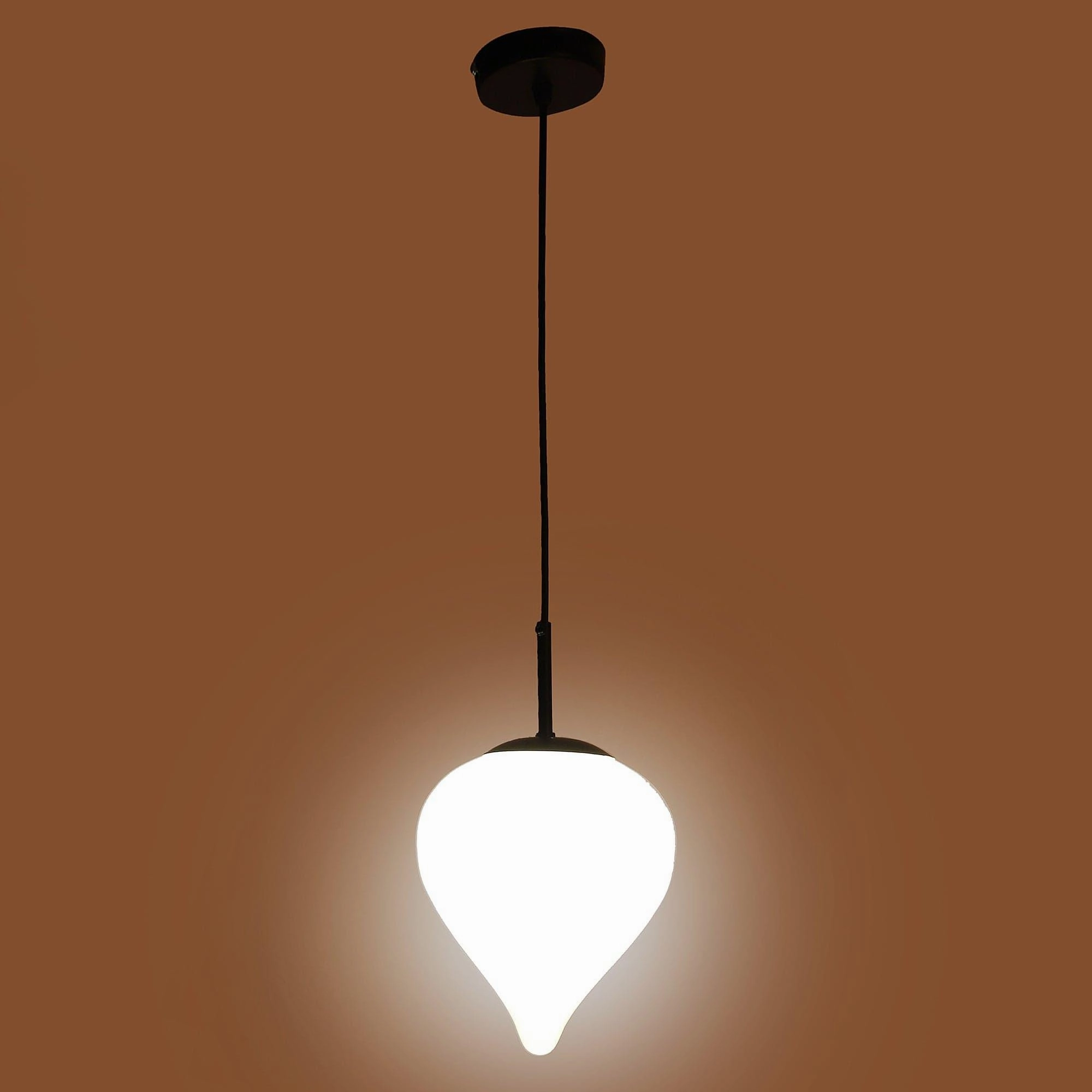 Black And White Iron Hanging Light