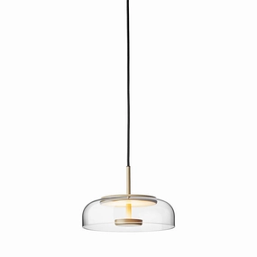 Blossi 1 Pendant modern wall mounted lamp