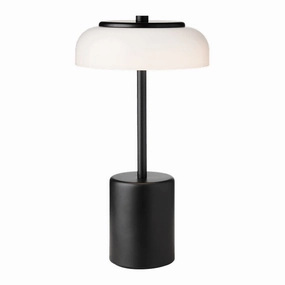 Blossi Mini Portable Table Lamp modern wall mounted lamp