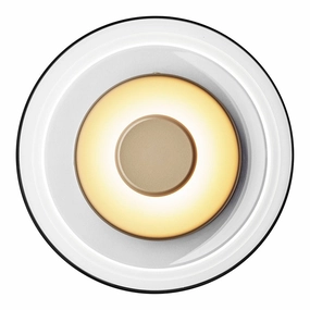 Blossi Wall Light modern wall mounted lamp