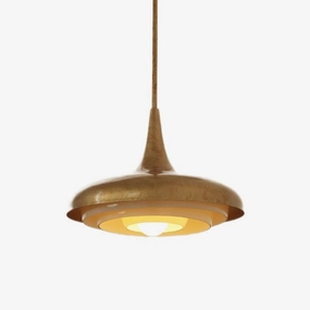 Blossom Pendant Light contemporary ceiling lighting
