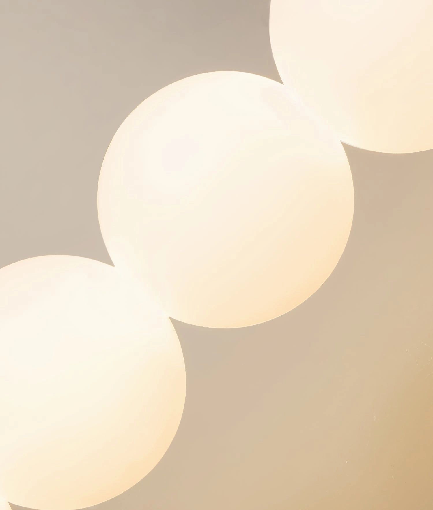 Candied Haws Wall Lamp