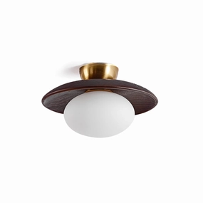 Cathy Ceiling Lamp recessed ceiling spot lamp
