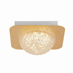Celestia 1 Light Square LED Ceiling Flush - Gold & Acrylic soft glow ceiling light