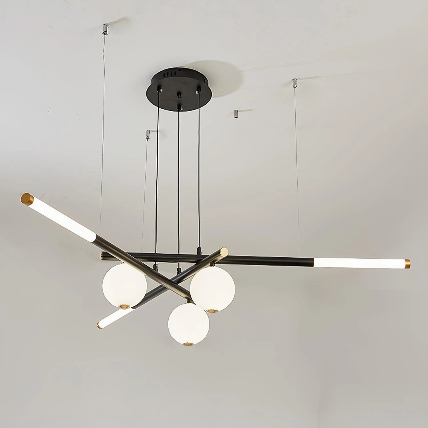 Cellar Suspension