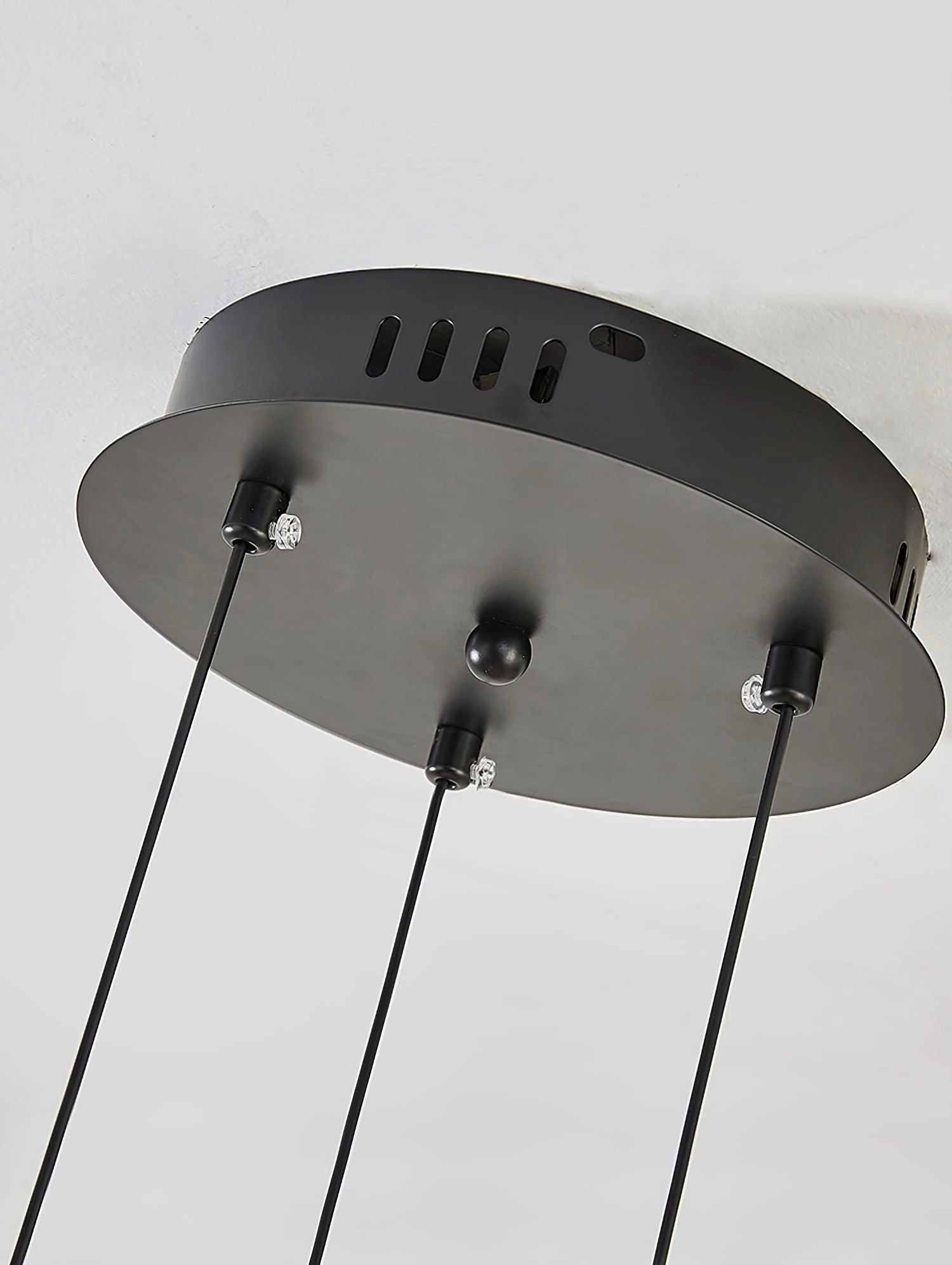 Cellar Suspension