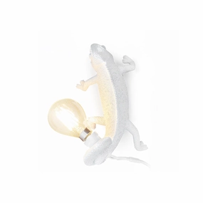 Chameleon Wall Lamp designer outdoor lamp