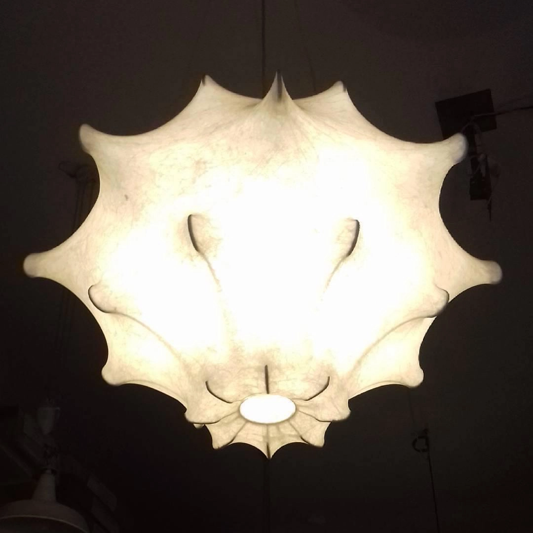Cocoon Bloom Pendant Lamp