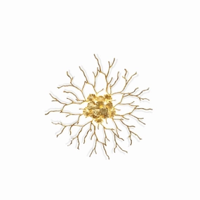Coral Zoa Eye Wall Lamp designer outdoor lamp