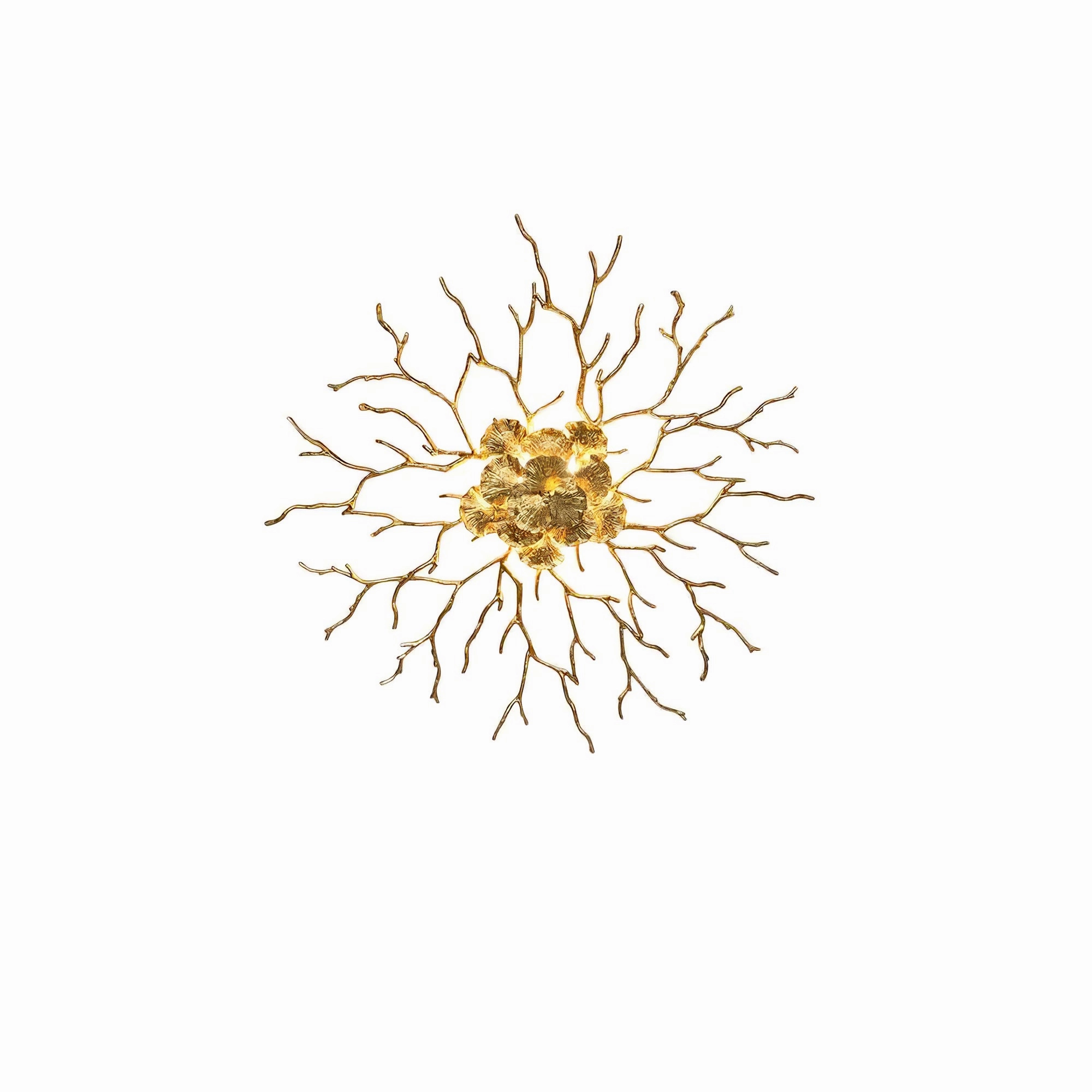 Coral Zoa Eye Wall Lamp