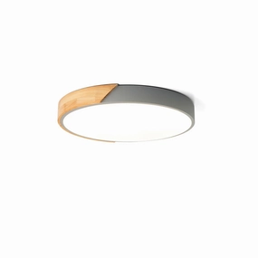 Delphi Ceiling Light recessed ceiling spot lamp
