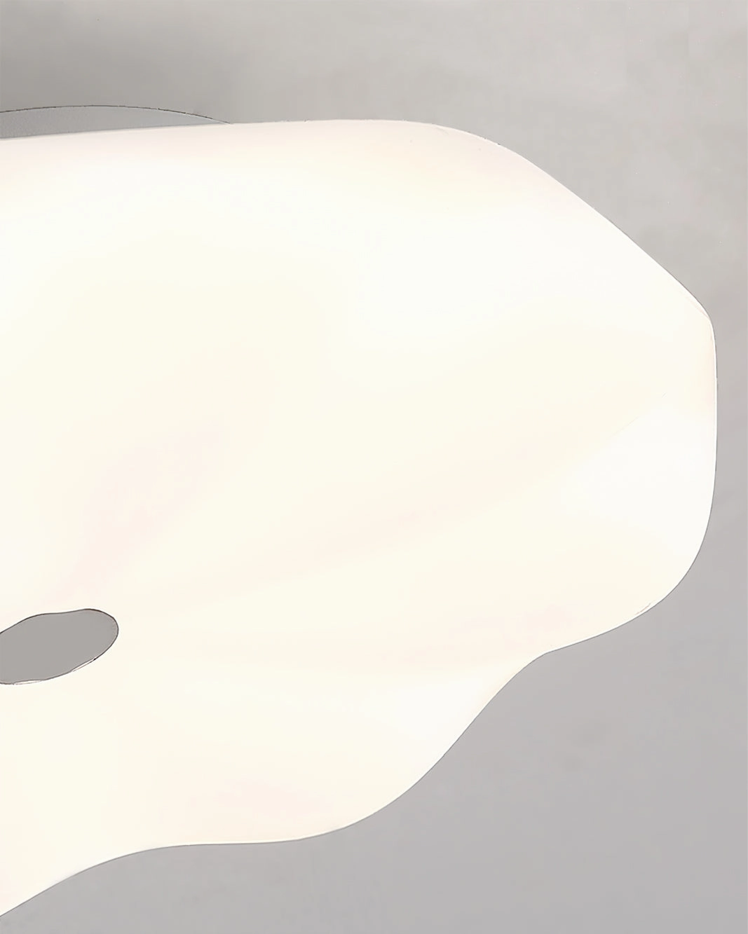 Donut Ceiling Lamp