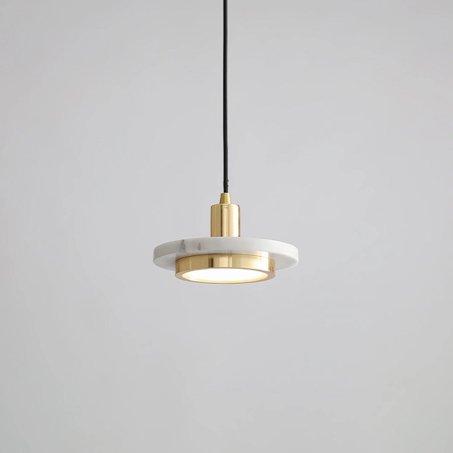 Double Circle Pendant Light