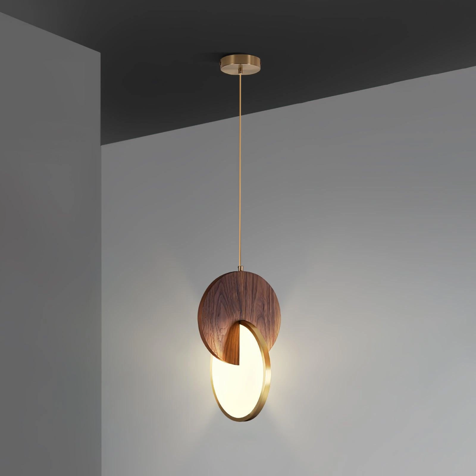 Double Disk Pendant Lamp