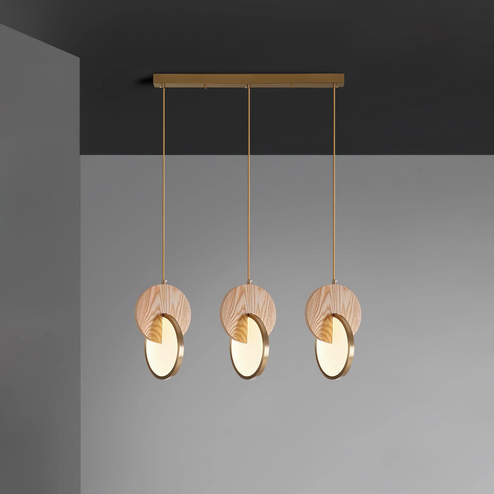 Double Disk Pendant Lamp