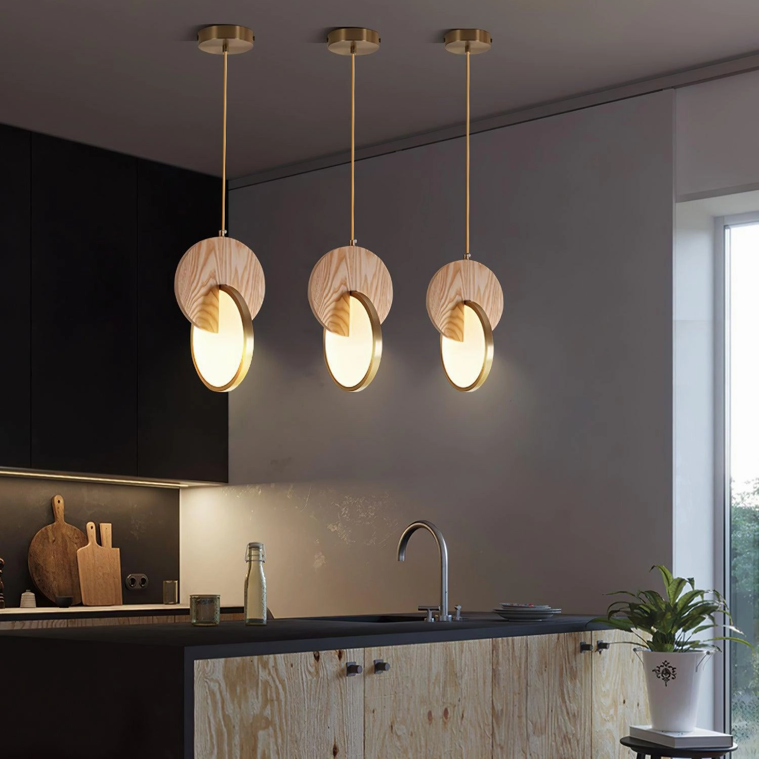 Double Disk Pendant Lamp