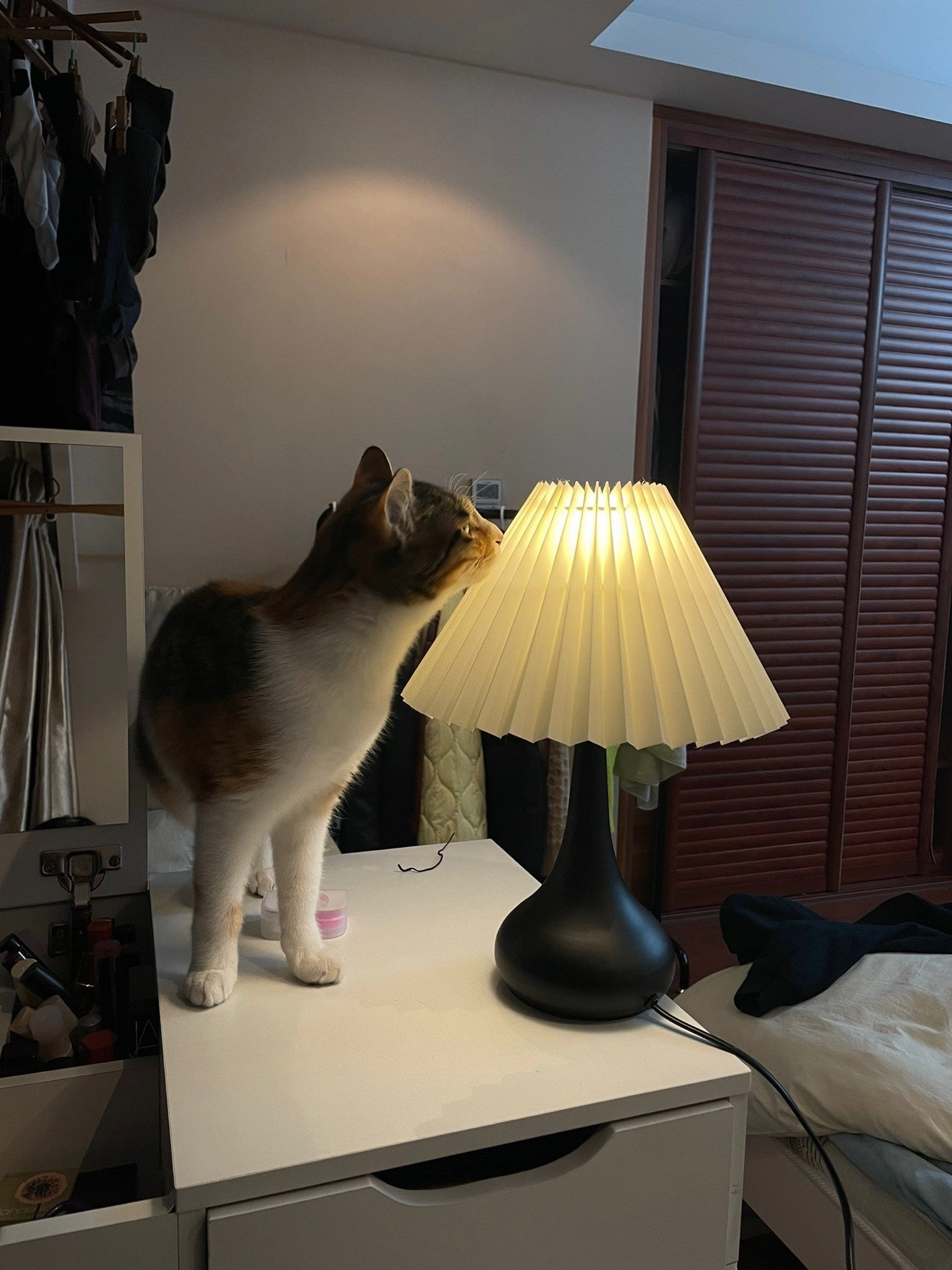 Drum Table Lamp