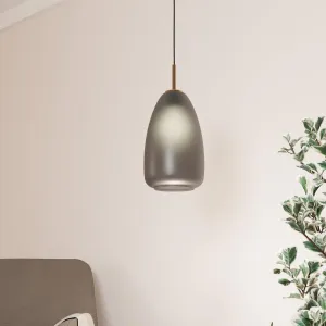 Eglo Alobrase Rounded Smoked Glass Ceiling Pendant flush mount ceiling fixture