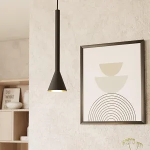 Eglo Cortaderas Black & Gold Ceiling Pendant flush mount ceiling fixture