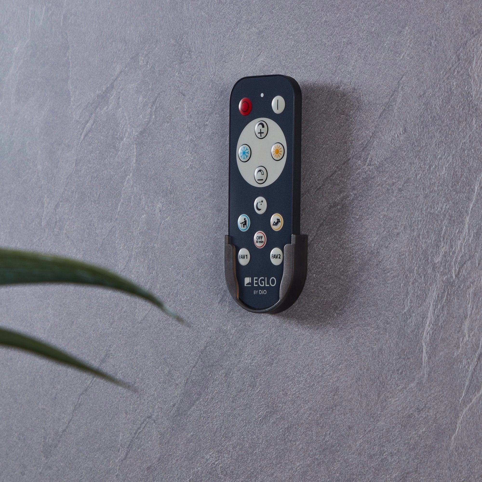 Eglo Access Remote Control