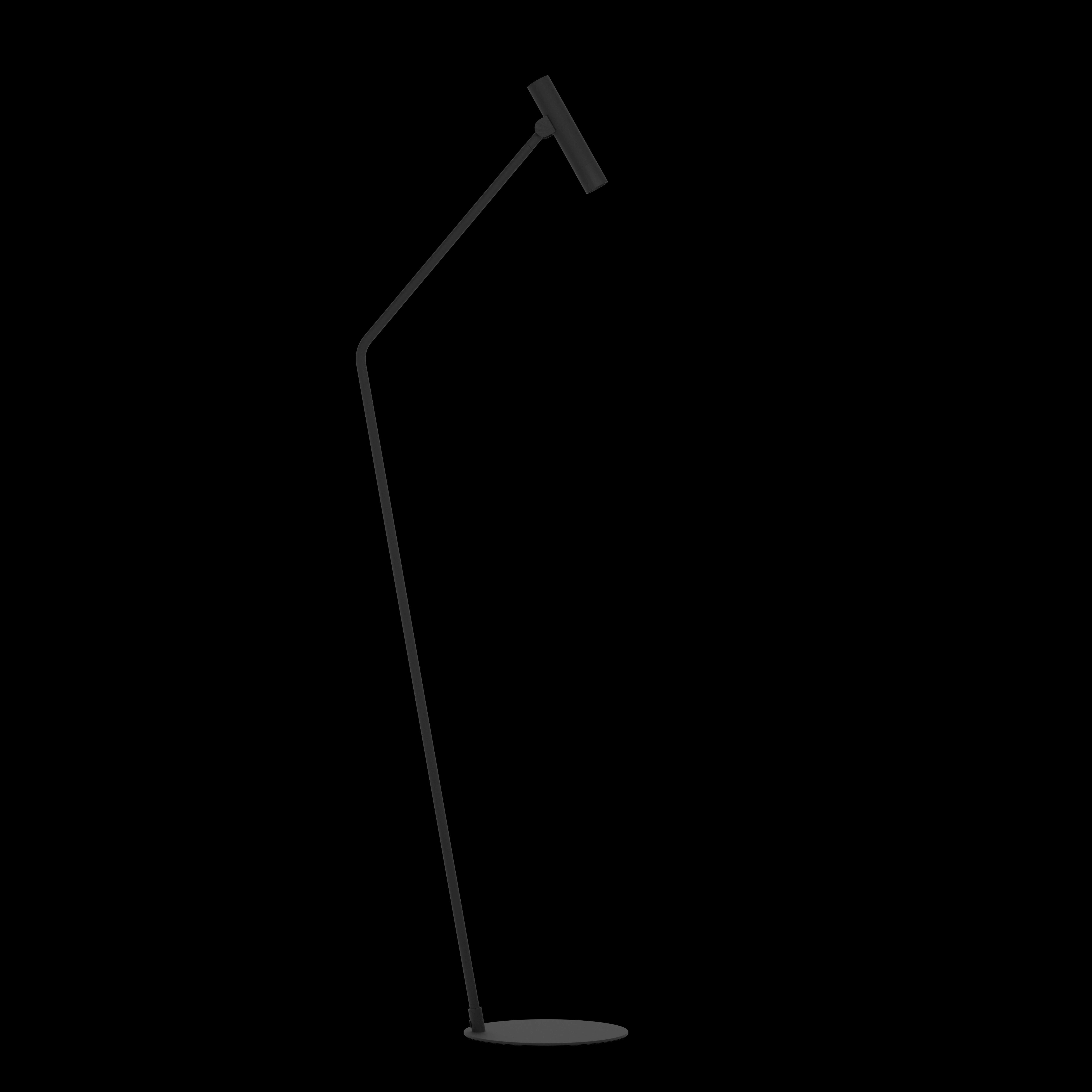 Eglo Almudaina Black LED Adjustable Floor Lamp