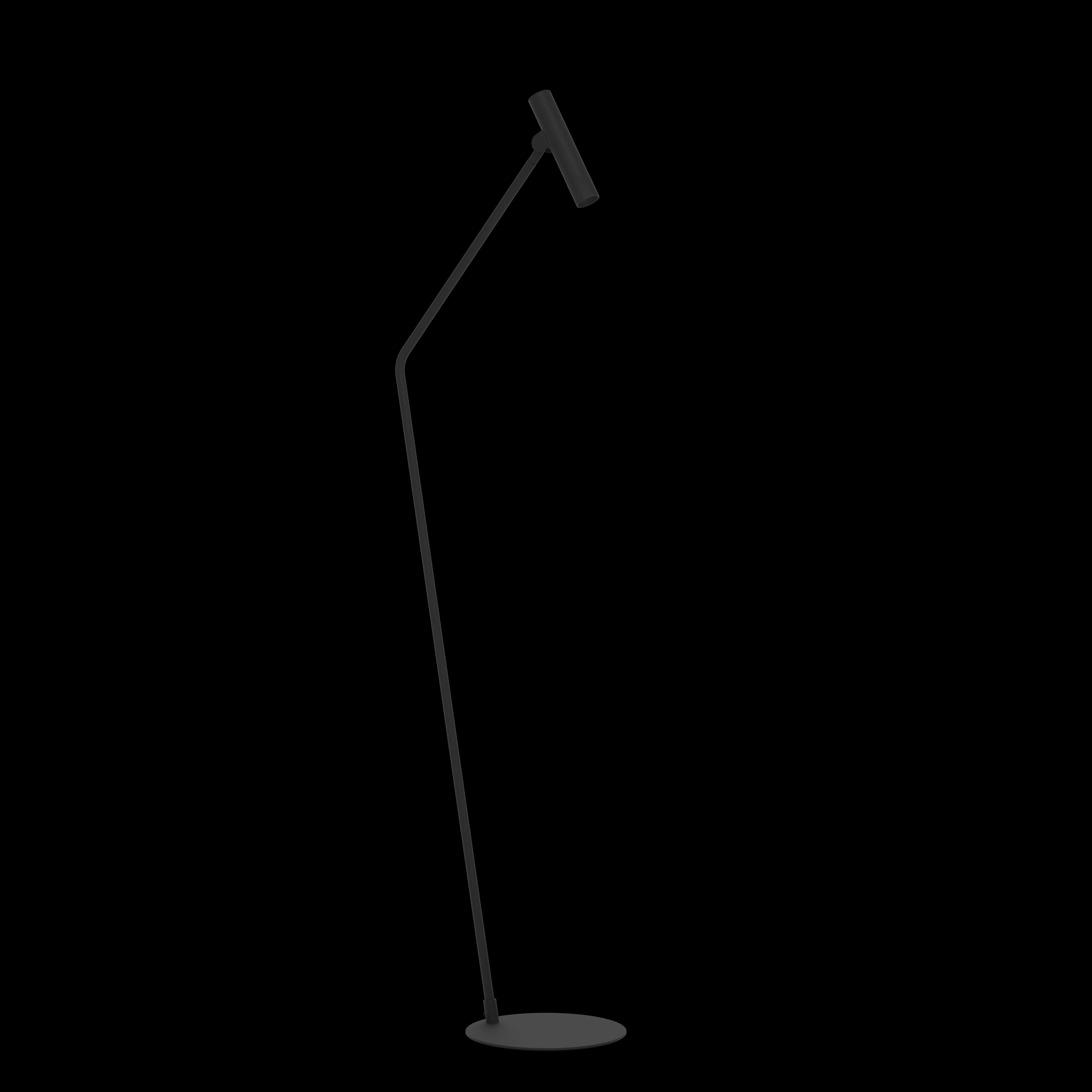 Eglo Almudaina Black LED Adjustable Floor Lamp